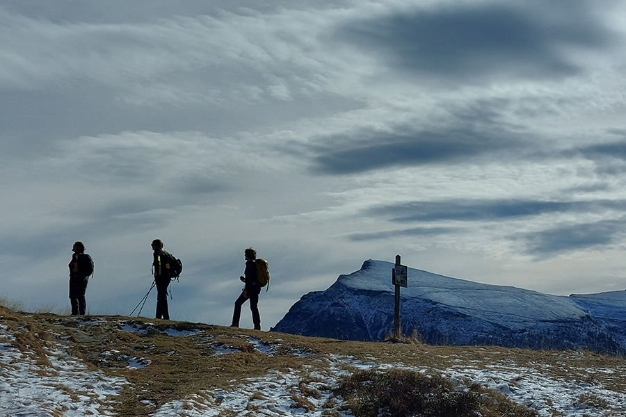 Foto Archivio @Susanna Perletti