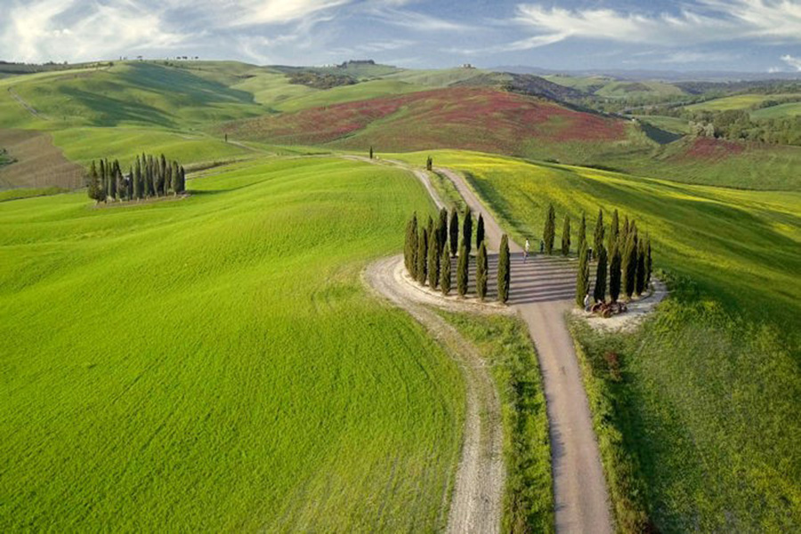 I cipressi della Val d'Orcia