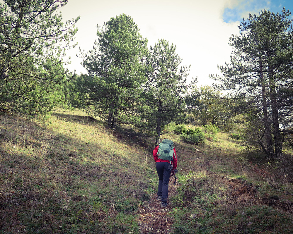 trekking estivo 23 1