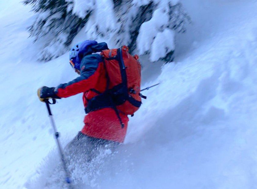 Come evitare di disturbare la fauna in inverno