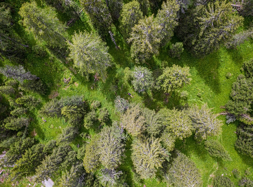 Mountain Wilderness a tutela delle montagne italiane
