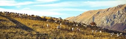 Prodotti 100% Italiani a Km ZERO